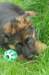 dsc_89711024_small.jpg