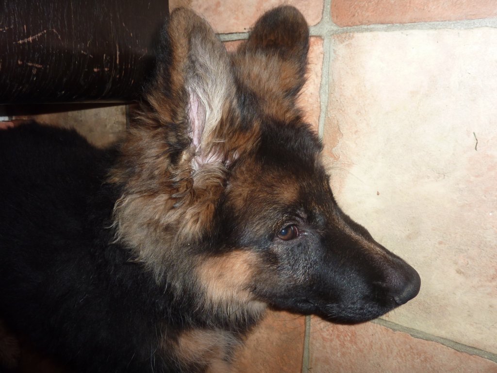 p1050004.jpg