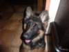 p1050009_small.jpg