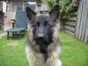 dsc03002_small.jpg