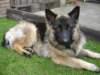 dsc03008_small.jpg