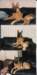 img_0002_small.jpg