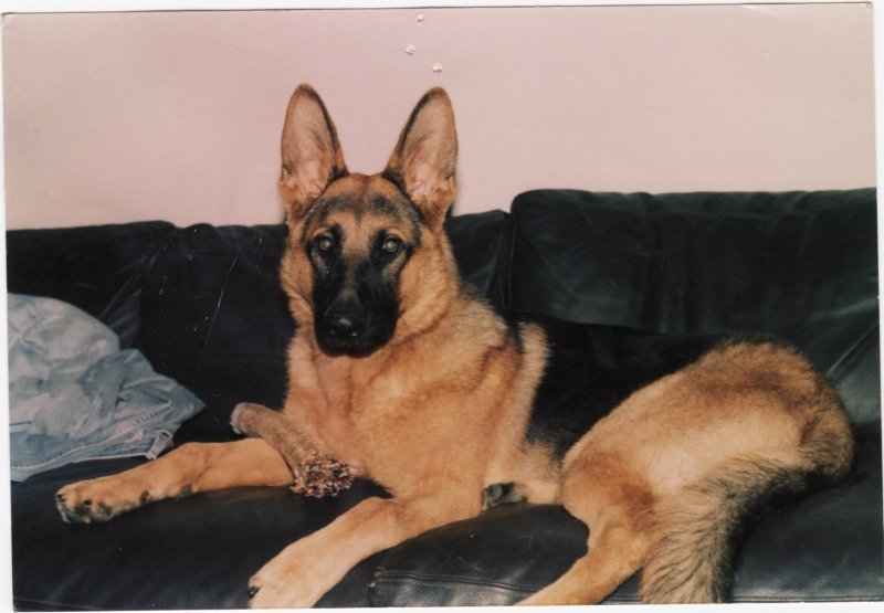 Kennie